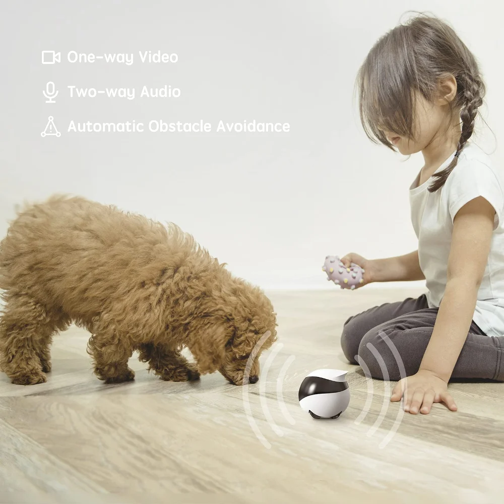 SE カメラロボット犬猫赤ちゃん 1080P ホームセキュリ - Home Security Robot Dog のレビューと価格