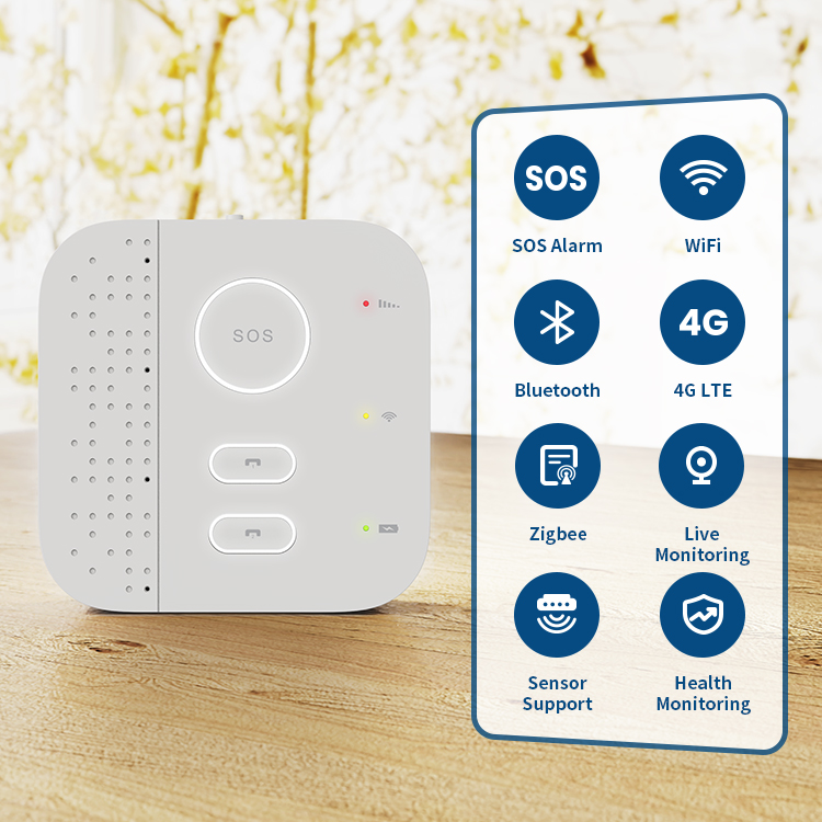 スマート高齢者向けホームセキュリティ監視システム多機能高齢者 - Home Security For Seniors のレビューと価格